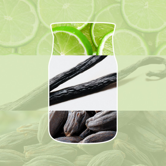 VANILLA LIME
